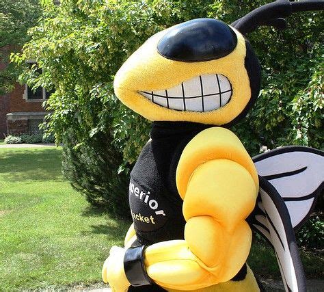 Buzz: The Social Media Superstar Mascot of Georgia Tech